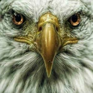 Meet your Posher, Jerry